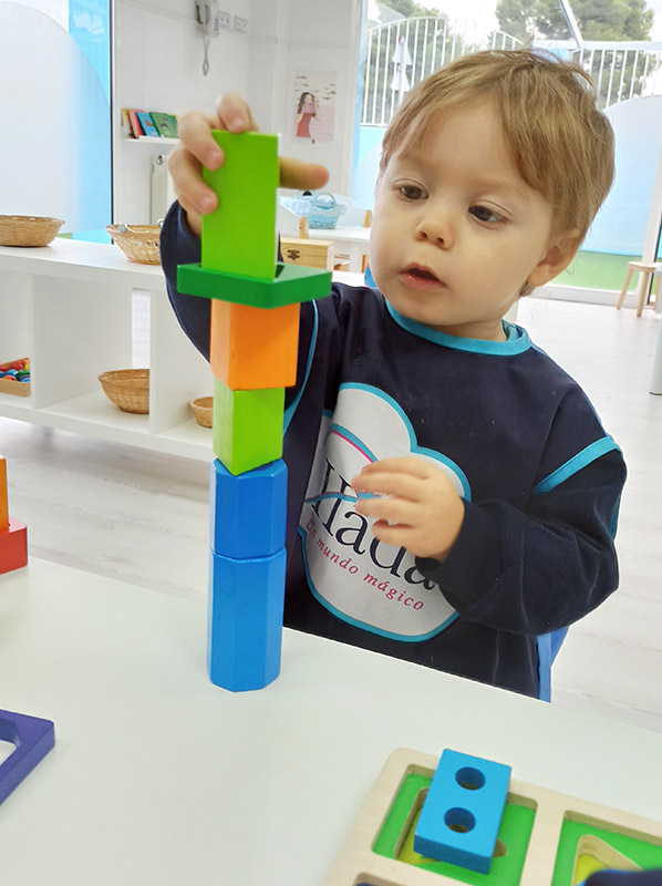 Proyecto educativo imagen 2